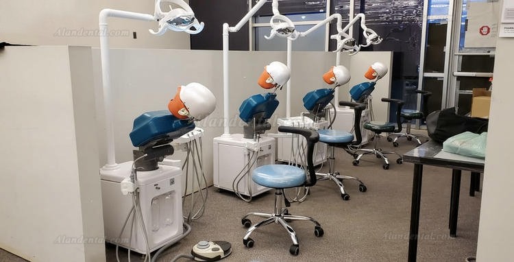 Jingle JG-A2 Dental Student Training Solution Surgery Practice Simulation Unit Compatible with Nissin Kilgore/Frasaco